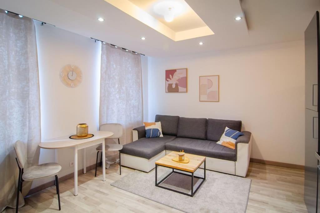 Appartement T2 A Deux Pas De La Celebre Place Stanislas *